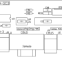 can-gc3-pcb-comp.png